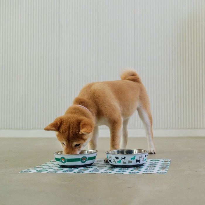 Миска для кошек и собак из нержавеющей стали &laquo;Собаки&raquo;, 450 мл, 14 х 4.5 см