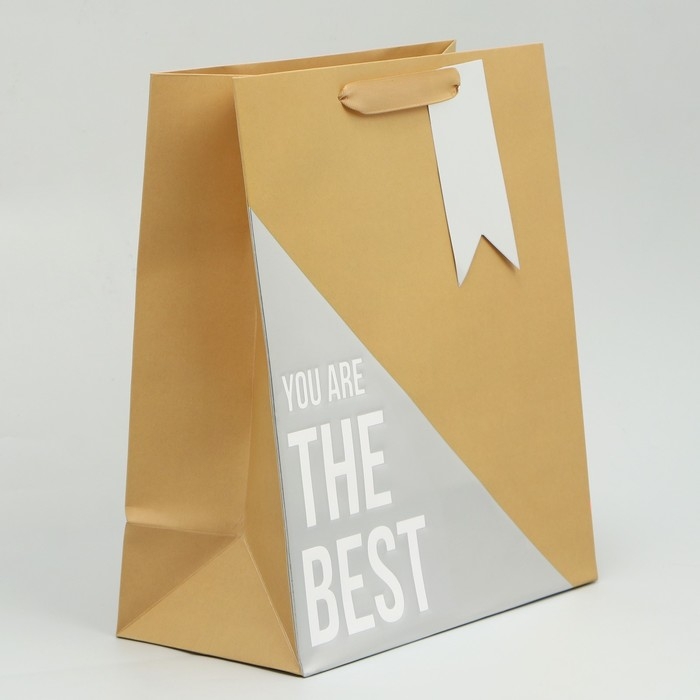 Пакет подарочный, упаковка, &laquo;Лучший&raquo;, ML 23 х 27 х 11.5 см