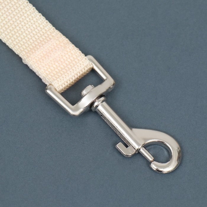 Поводок 3 м х 2 см, бежевый Поводок 3 м х 2 см, бежевый