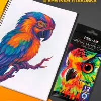 Карандаши цветные, 12 цветов, Calligrata TOP, шестигранные, пластиковые
