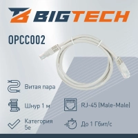 Патч-корд BigTech OPCC002 UTP CCA кат.5e/1м/литой/многожильный (серый)