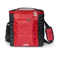 Термосумка AVS TC-20 (20 л.)