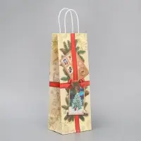 Пакет под бутылку «Почта», 13 x 36 x 10 см