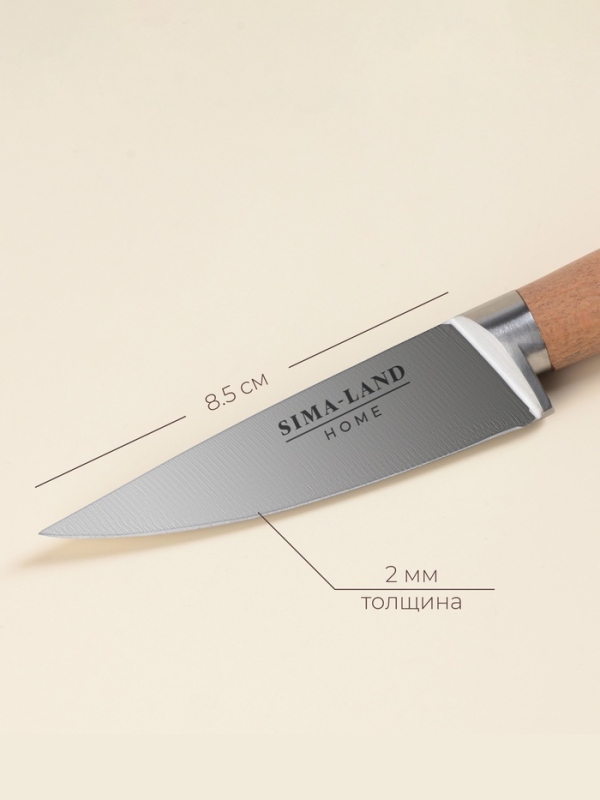 Нож кухонный овощной SL Home «Калабрия», нержавеющая сталь, 8,5 см, бежевый Нож кухонный овощной SL Home «Калабрия», нержавеющая сталь, 8,5 см, бежевый