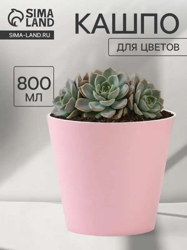 Кашпо для цветов &laquo;Цвет&raquo;, 800 мл, d=12 см, h=11 см, пластиковое