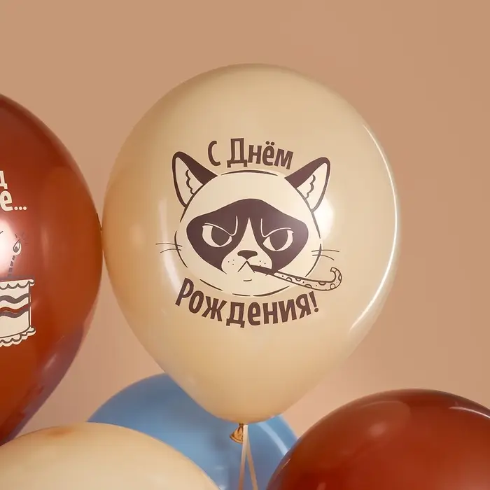 Воздушные шары латексные 12" &laquo;С Днем Рождения! (Сердитая кошка)&raquo;, МИКС, набор 25 шт.