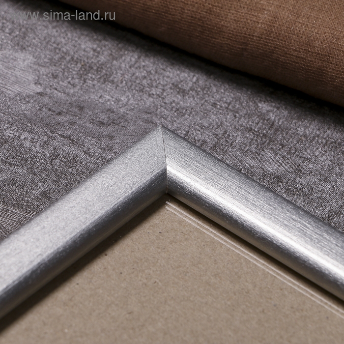 Фоторамка сосна с19 серебро 50х60 см (пластиковый экран) Фоторамка сосна с19 серебро 50х60 см (пластиковый экран)