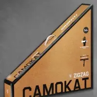 Самокат трюковой GRAFFITI Zigzag 23, колёса PU 100 мм, резьбовая компрессия, ABEC 7, оранжевый