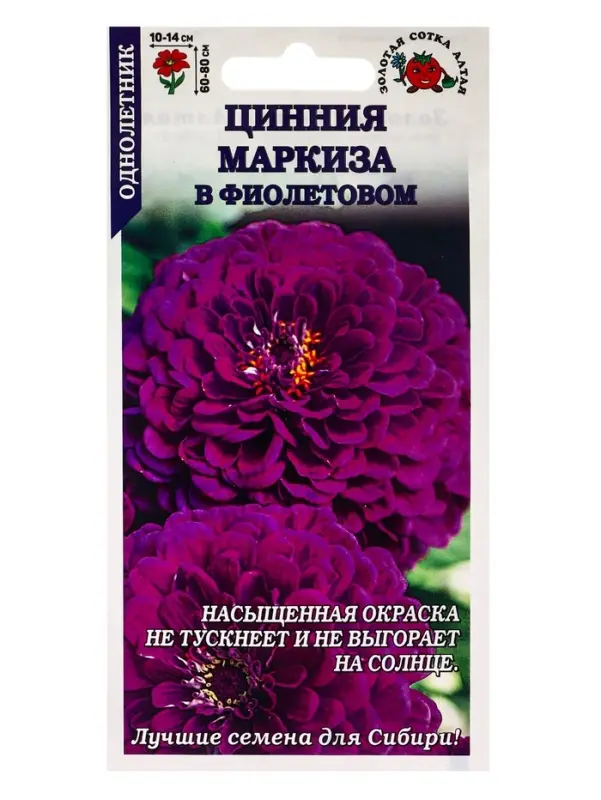 Семена цветов Цинния  Семена цветов Цинния "Маркиза в Фиолетовом", 0,2 г