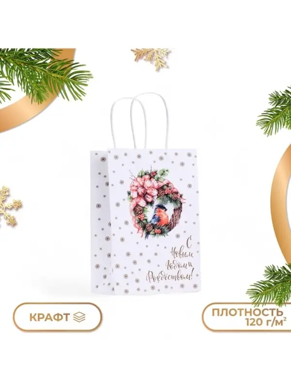Пакет подарочный новогодний крафт &laquo;С Новым годом и Рождеством&raquo;, 22&times;25&times;12 см