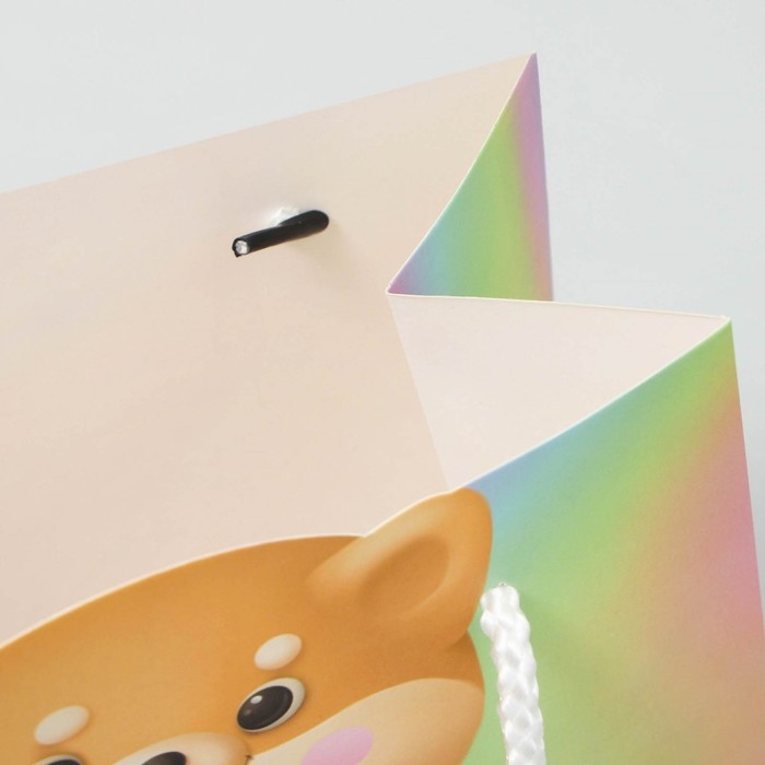 Пакет подарочный, упаковка, «Сюрприз», 25 х 26 х 10 см Пакет подарочный, упаковка, «Сюрприз», 25 х 26 х 10 см