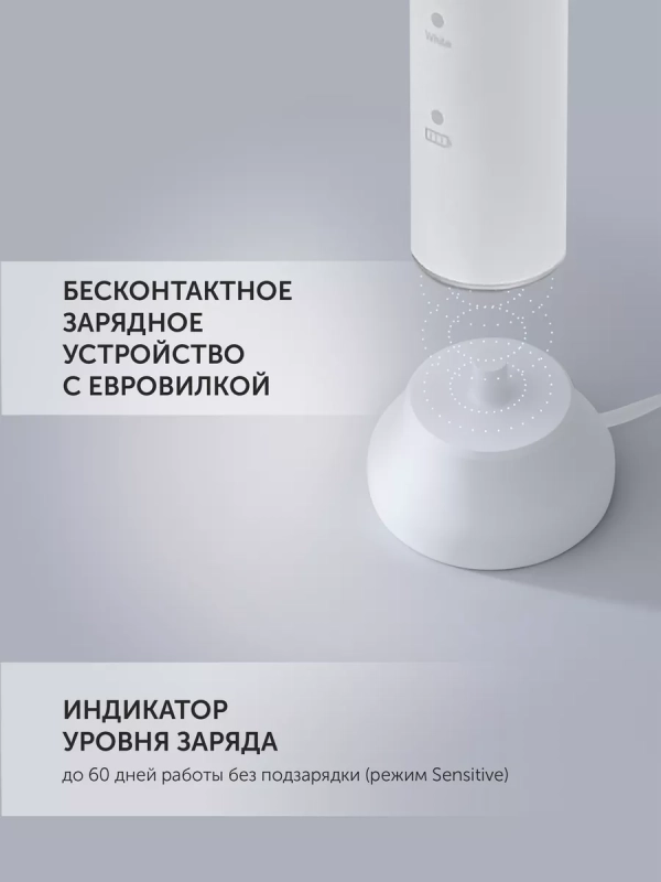 Электрическая зубная щетка звуковая PETB 0701 TC