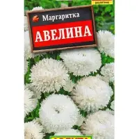 Семена цветов Маргаритка Авелина крупноцветковая Дв, Ц/П,0,05 г