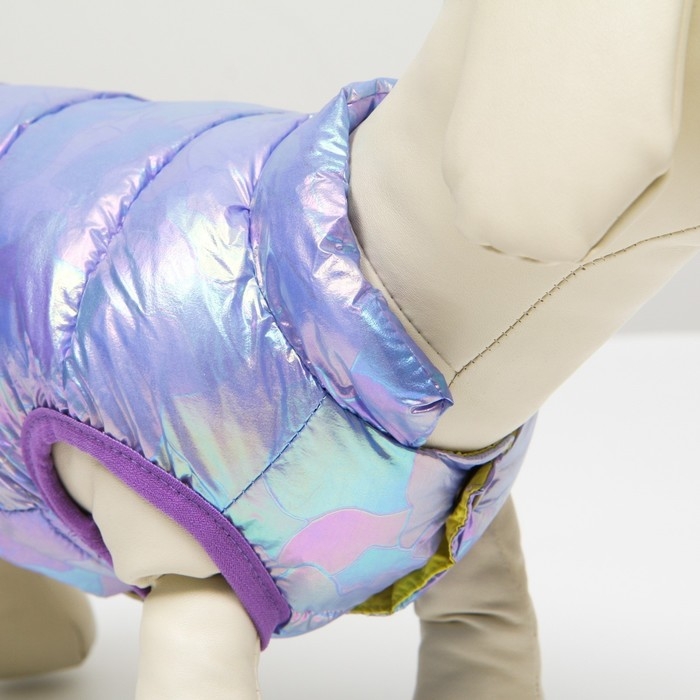 Куртка для собак двухсторонняя с утяжкой, размер 18 (ДС 40, ОГ 50, ОШ 38),фиолетовая/жёлтая Куртка для собак двухсторонняя с утяжкой, размер 18 (ДС 40, ОГ 50, ОШ 38),фиолетовая/жёлтая