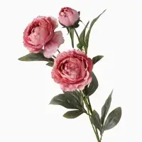 Цветы искусственные &laquo;Пион Эльза&raquo;, h=64 см, d=10 см, розовые