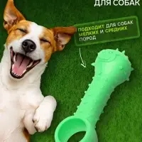 Игрушка-дразнилка для собак &laquo;Поймай меня!&raquo;, 9.5 см, TPR, зелёная