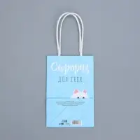 Пакет подарочный крафтовый, упаковка, &laquo;Сюрприз для тебя&raquo;, 15&times;10&times;6 см