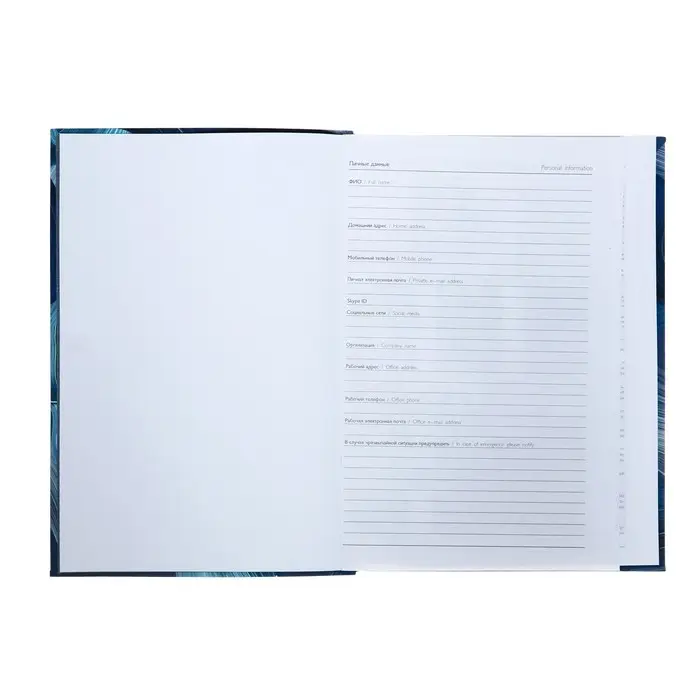 Ежедневник недатированный А5, 80 листов Ежедневник недатированный А5, 80 листов "СИНИЕ ПОЛОТНА", интегральный переплёт, обложка мелованный картон, ламинация софт-тач вельвет, тиснение цветной фольгой, блок 65г/м2