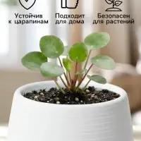 Горшок цветочный &laquo;Япония&raquo;, 450 мл, d=12 см, h=10 см, пластиковый, с поддоном, бело-графитовый
