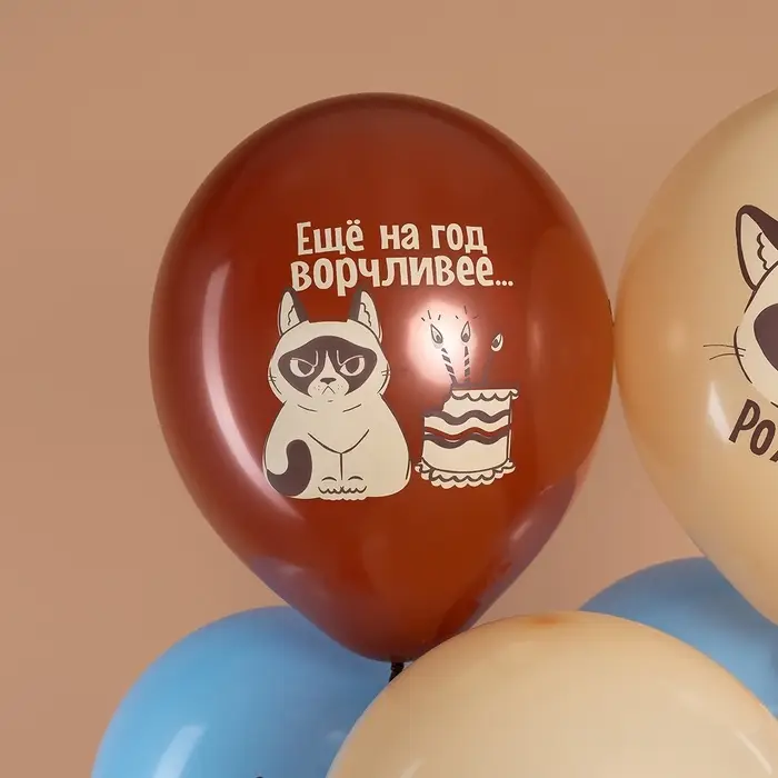 Воздушные шары латексные 12" &laquo;С Днем Рождения! (Сердитая кошка)&raquo;, МИКС, набор 25 шт.