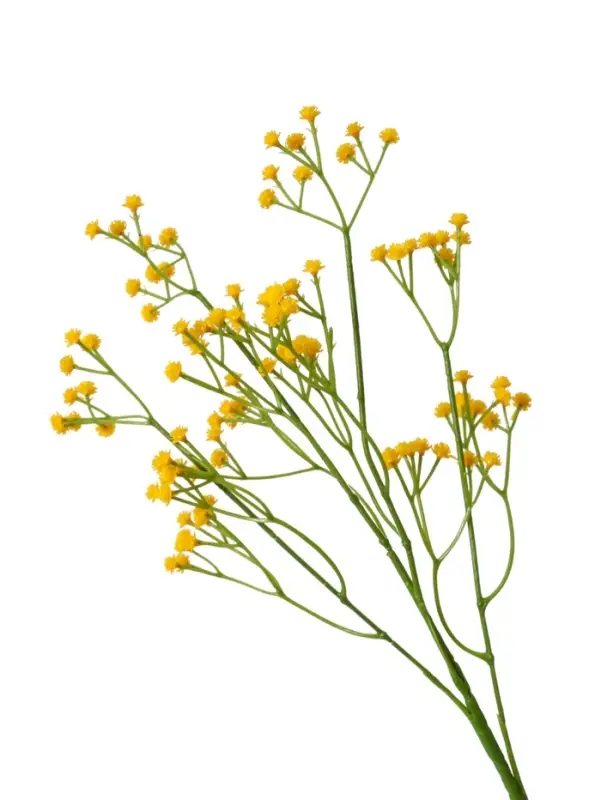 Цветы искусственные &laquo;Ветка гипсофилы&raquo;, 1&times;53 см, жёлтые