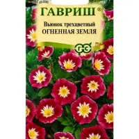 Семена цветов Вьюнок трехцветный Огненная земля 0,5 г