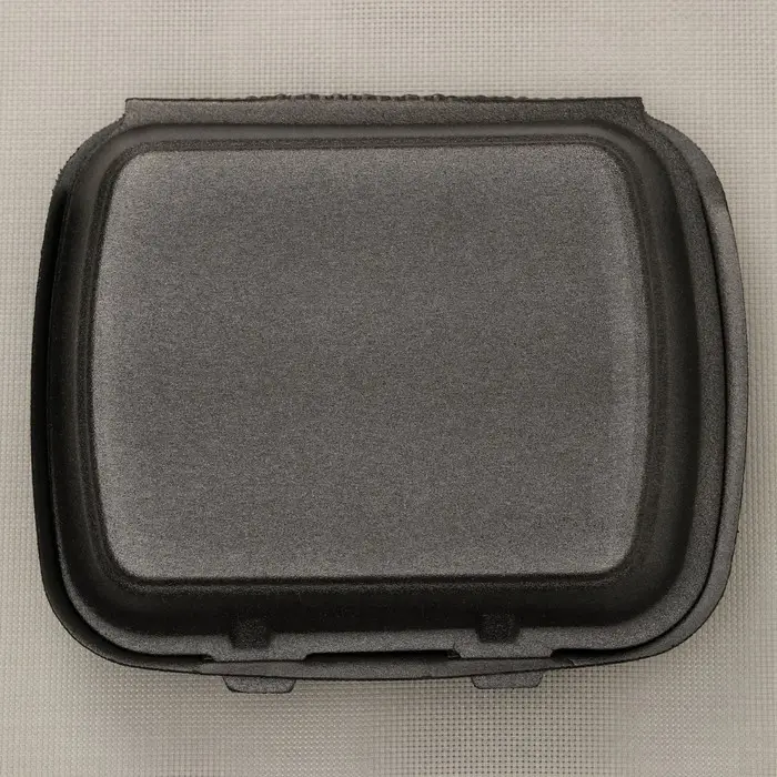 Ланч - бокс одноразовый, 24,7×20,6×3,5 см, 1 секция, чёрный