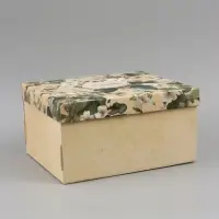 Коробка подарочная самосборная &laquo;Ботаника&raquo;, 31&times;25.5&times;16 см