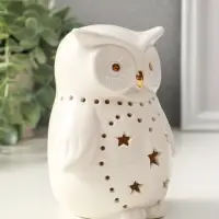 Сувенир керамика свет "Филин в звёздочках" белый 10,5х8х12,5 см