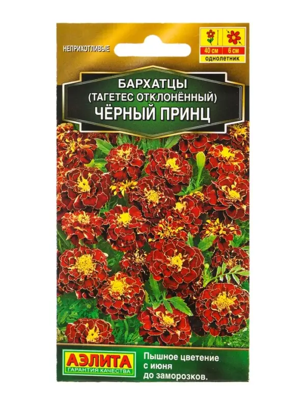 Семена цветов Бархатцы Черный принц отклоненные Золотая серия, Ц/П,0,3 г Семена цветов Бархатцы Черный принц отклоненные Золотая серия, Ц/П,0,3 г