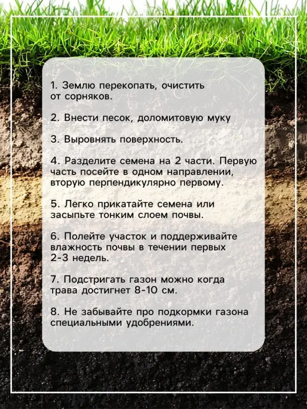 Газонная травосмесь &laquo;Газон для ленивых&raquo;, 1 кг