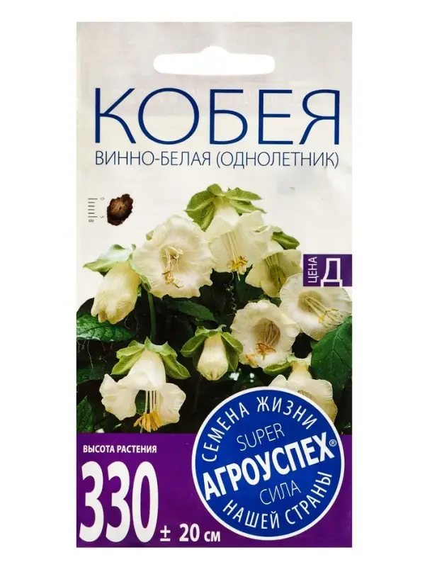 Семена цветов Кобея Винно-белая Агроуспех 4шт (300)