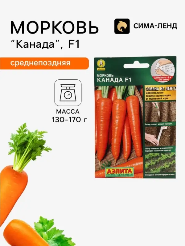 Семена на ленте Морковь &laquo;Канада&raquo;, F1, 8 м, &laquo;Аэлита&raquo;