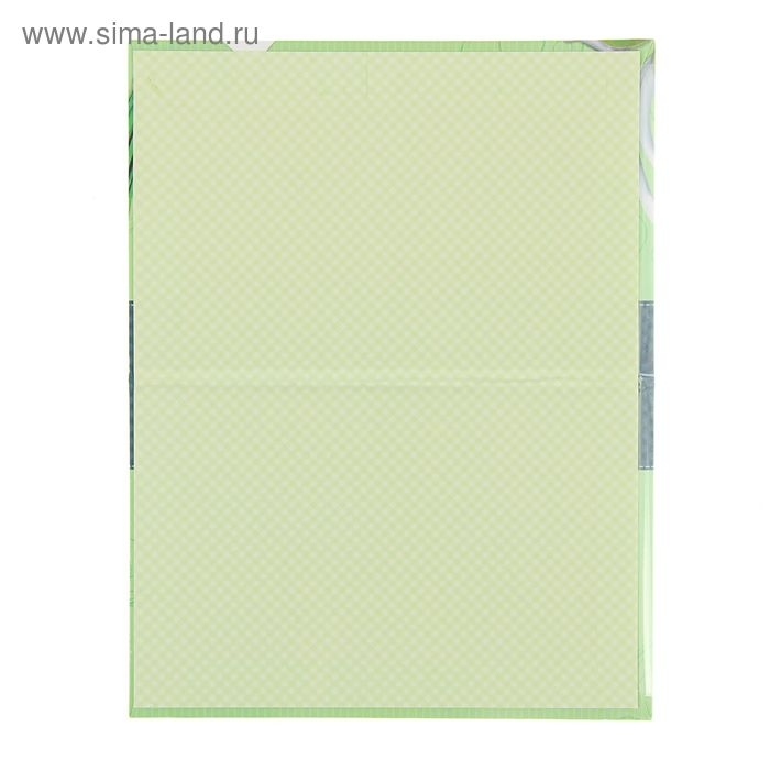 Папка для медицинского полиса "Фрукты", 17,5 х 11,3 см