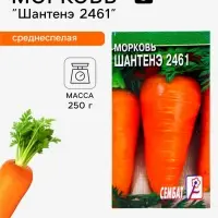 Семена Морковь &laquo;Шантенэ 2461&raquo;, 0.5 г, &laquo;Сембат&raquo;
