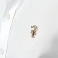 Брошь &laquo;Змея в геральдике&raquo;, медицина, цвет чернёное золото