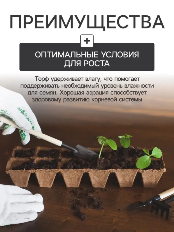 Набор для рассады: торфяная кассета, 24 ячейки по 50 мл, поддон 31&times;20 см, зелёный, пластик, Экоторф