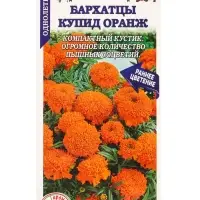 Семена Бархатцы Купид Оранж /Сотка/ 0,1г/ прям. 35см, d-10см/*1500 Семена Бархатцы Купид Оранж /Сотка/ 0,1г/ прям. 35см, d-10см/*1500