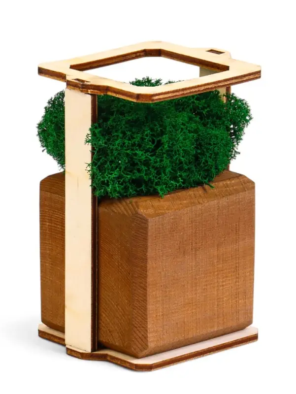 Кашпо композиция со мхом Кашпо композиция со мхом "Бриовуд", мох стабилизированный: Forest green (Зелёный лес)