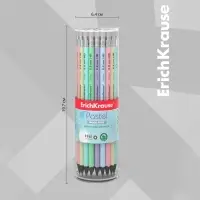 Карандаш чернографитный с ластиком ErichKrause «Pastel», HB, грифель d=2.2 мм, пластик, круглый в тубусе, пастель МИКС