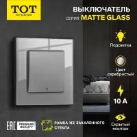 Выключатель TOT Matte Glass, 10 А, 1 клавиша, с подсветкой, скрытый монтаж, стеклянная рамка, серебристый