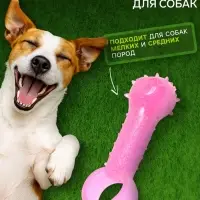 Игрушка-дразнилка для собак &laquo;Поймай меня!&raquo;,9.5 см, прозрачная, PP, розовая