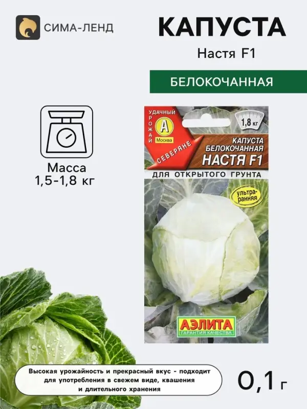 Семена Капуста белокочанная &laquo;Настя&raquo;, F1, 0.1 г, &laquo;Аэлита&raquo;
