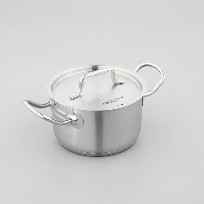 Кастрюля «Общепит», 2 л, d=16 см, h=10 см, капсульное дно, индукция Кастрюля «Общепит», 2 л, d=16 см, h=10 см, капсульное дно, индукция