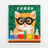 Тетрадь в клетку, предметная, 48 л., на скрепке, А5 &laquo;МИЛЫЕ ПИТОМЦЫ. Химия&raquo;