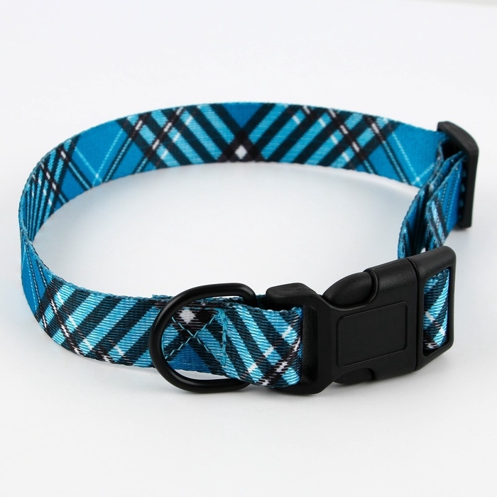 Ошейник «Джентльмен», застёжка - фастекс, 2.5 см, 40-55 см Ошейник «Джентльмен», застёжка - фастекс, 2.5 см, 40-55 см