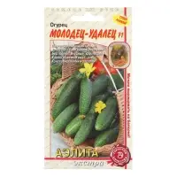 Семена Огурец "Молодец-удалец", F1 Семена Огурец "Молодец-удалец", F1