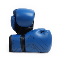Боксерские перчатки FIGHT EMPIRE, B8102, синие, размер 12 oz