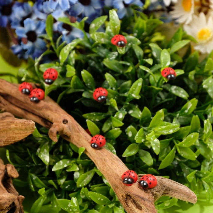 Декор флористический «Божьи коровки», 18 шт., 19 х 14 мм Декор флористический «Божьи коровки», 18 шт., 19 х 14 мм