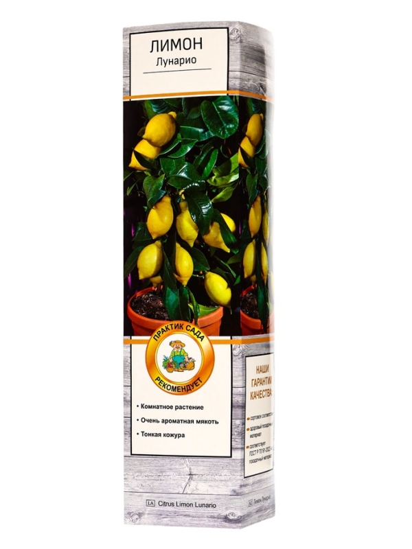 Цитрус Цитрус "Лимон Лунарио", туба, 1 шт, Весна 2025